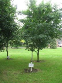 Greenwich Meridian Marker; England; Lincolnshire; East Kirkby